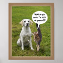 Recherche de bulle de la parole posters Chat