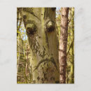Recherche de esprit de la forêt cartes postales Arbre