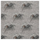 Recherche de tarentules Effrayant