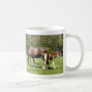 Recherche de jument tasses Mare