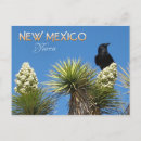 Recherche de yucca cartes postales Nouveau mexique
