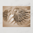 Recherche de organes humains cartes postales Dessin