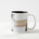 Recherche de portrait de cheval tasses Nature