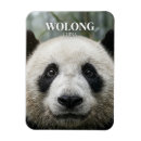 Recherche de chengdu magnets Chine