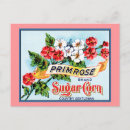 Recherche de cuisine rose cartes postales Toute personne
