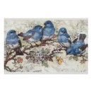 Recherche de oiseau vintage posters Bleu