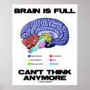 Recherche de humour cerveau posters Anatomie