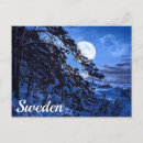 Recherche de sapin de elle cartes postales Neige