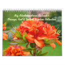 Recherche de rhodies rouges Jardin