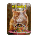 Recherche de grincheux magnets Fête