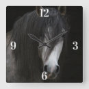 Recherche de cheval arabe horloges Chevaux