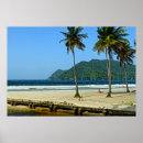 Recherche de cocotier posters Île