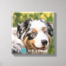 Recherche de chien berger australien art Animal