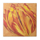 Recherche de tulipe carreaux Fleurs