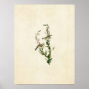 Recherche de ornement posters Peinture murale