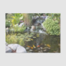 Recherche de lilypad Plante