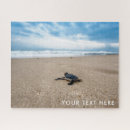 Recherche de turtle puzzles Tortue de mer