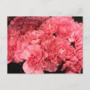 Recherche de timbre poste photographie Fleurs