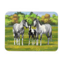 Recherche de cheval magnets Quart de cheval
