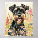 Recherche de miniatures posters Schnauzer miniature