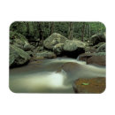 Recherche de environnement magnets Roche
