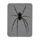 Recherche de araignée magnets Métal