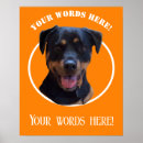 Recherche de animaux uniques posters Animal