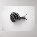 Recherche de escargot mignon posters Nature