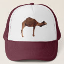 Recherche de chameau casquettes Dromadaire