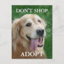 Recherche de adopté photographie Adopter