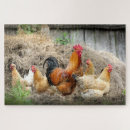 Recherche de volaille de jeu puzzles Ferme