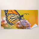 Recherche de papillons vivants Nature vivante