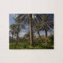 Recherche de la tunisie puzzles Walter bibikow