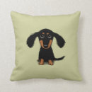 Recherche de chiots coussins Dachshund