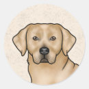 Recherche de labrador retriever jaune autocollants Mignon