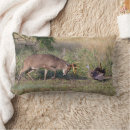 Recherche de habitat coussins Bois