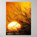 Recherche de delight posters Soleil
