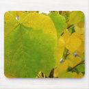 Recherche de feuille vert tapis souris Photographie