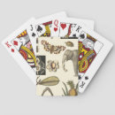 Recherche de insectes jeux de cartes Crème