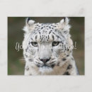 Recherche de gros chat vœux cartes Chats sauvages