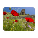 Recherche de acropole magnets Histoire