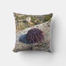 Recherche de oursin coussins Océan