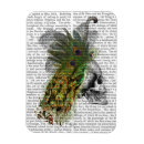 Recherche de plumes magnets Steampunk