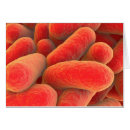 Recherche de prokaryote cartes postales Médecine