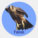 Recherche de oiseau de proie autocollants Faucon