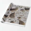 Recherche de fossiles papier cadeau La science