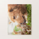 Recherche de poussins puzzles Animaux