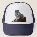 Recherche de loup casquettes Prédateur