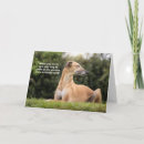 Recherche de greyhound anniversaire cartes Animal