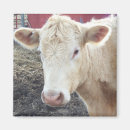 Recherche de carole magnets Mignon